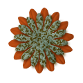 Orange/Pattern Flower