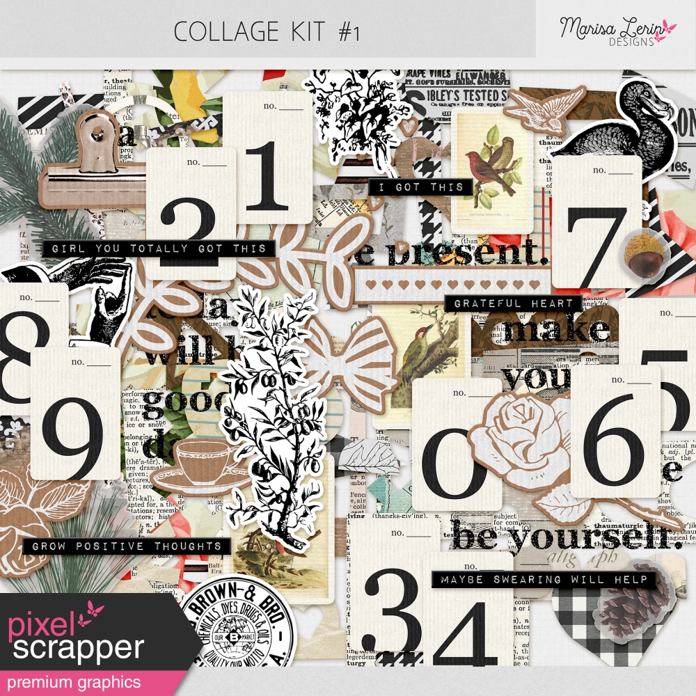 Collage Kit 1 by Marisa Lerin graphics kit