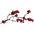 Turkey Time - Berry Branch