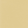 Turkey Time Solid Papers - Solid Tan Paper