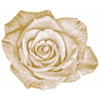 Vintage - November Blogtrain White Rose