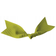 Oh Lucky Day - Tied Green Ribbon