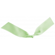 Oh Lucky Day - Light Teal Knotted Ribbon
