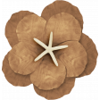 At The Beach - Brown Flower 