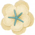 At The Beach - Cream Flower 