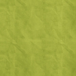 School Fun - Solid Crinkled Paper - Green 