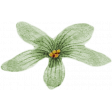 Meet Me In Paris - Vintage Flower Green