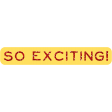 Challenged Word Art - So Exciting