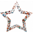 Challenged Star 02 - Glitter Grunge