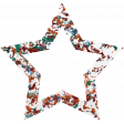 Challenged Star 04 - Glitter Grunge