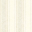 Stripes 54 - White