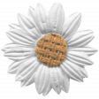 Twilight - Flower White Daisy