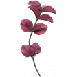 Flower 049