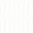 Vellum Paper - Ornamental