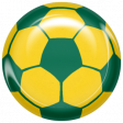 World Cup Bard Soccer Ball - Yellow