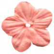 Slovenia Flower - Red Silk