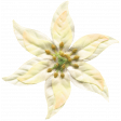 Arabia Flower - White 1