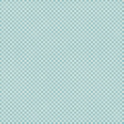 Checkered 06 - Aqua & White