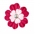 Pink Pearl Flower