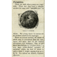 Cast A Spell Elements - Pumpkin Ephemera