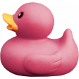 Tiny, But Mighty - Pink Rubber Duck