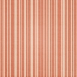 Tiny, But Mighty Orange Striped Paper