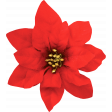 Christmas Memories Poinsettia