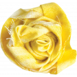 Yellow Fabric Rose
