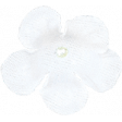  Small White Silk Flower 02