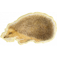 Oh Baby Hedge Hog Cutout