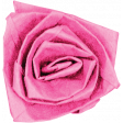 Garden Party - August 2014 Blog Train - Pink Rose