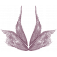 Enchanted - Painted Wings