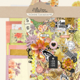 Collected Curiosities #8 Bundle
