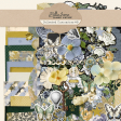 Collected Curiosities #9 Bundle