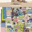 Collected Curiosities #15 Bundle