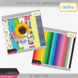 School's Out for Summer - Bundle