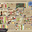 Strawberry Fields Bundle