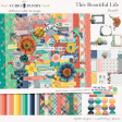 This Beautiful Life Bundle