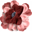 Ava Mini Kit: Flower 02