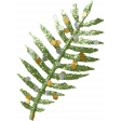 Ava Mini Kit: Foliage