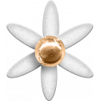 Aneira Kit: Flower 05
