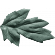Amity: Leaf