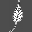 Gilda: leaf02