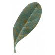 Gilda: leaf 03
