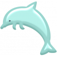 July 2020 Blog Train: dolphin