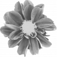 Flower Templates 02 Kit: flower04 (grayscale)