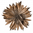 Liwen Flower05