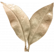 Liwen Leaf01