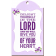 Delight Yourself In The Lord Chipboard Word Art Frame
