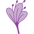 Lovely Violet Flower